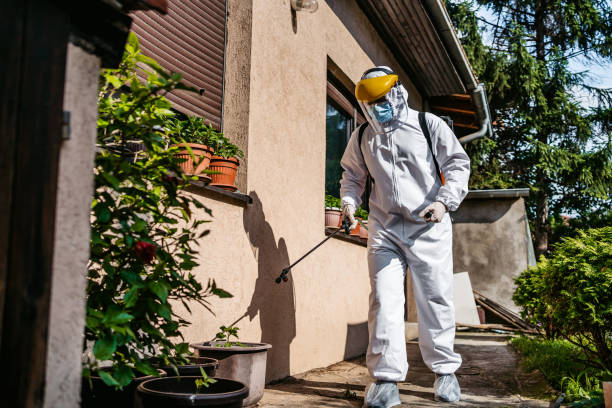 Best Best Pest Control Companies  in Northglenn, CO