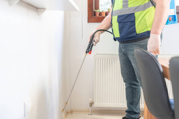 Best Termite Control Services  in Northglenn, CO